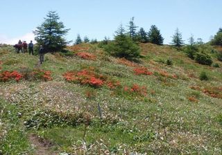 170617-9.jpg