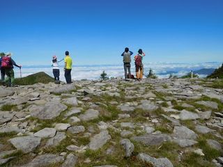 180617-4.jpg