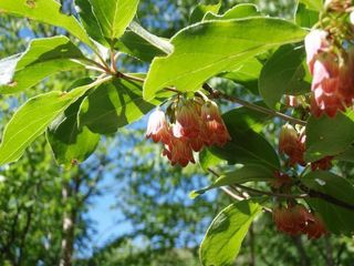 180617-6.jpg